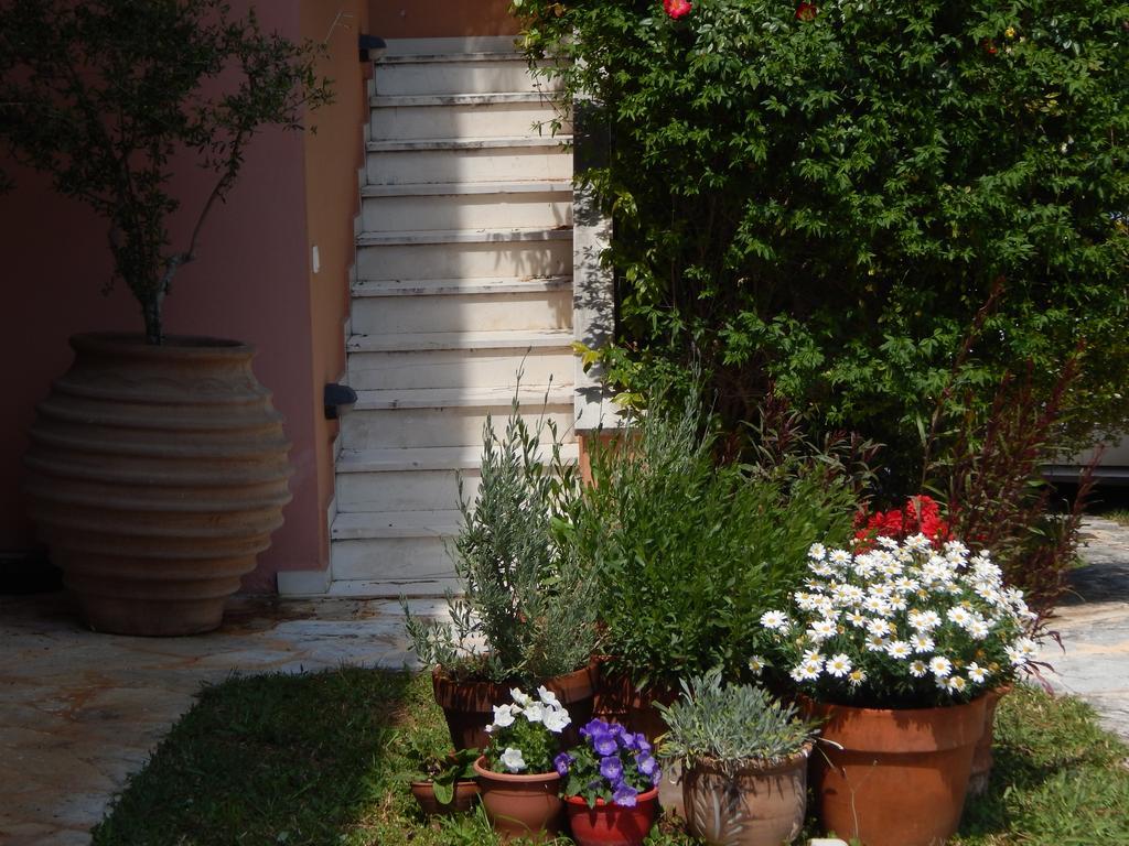 Slow Living Beautiful Villa Rafina  Exterior photo